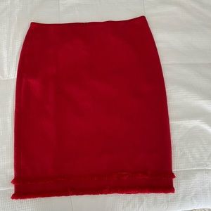 Ann Taylor Skirt